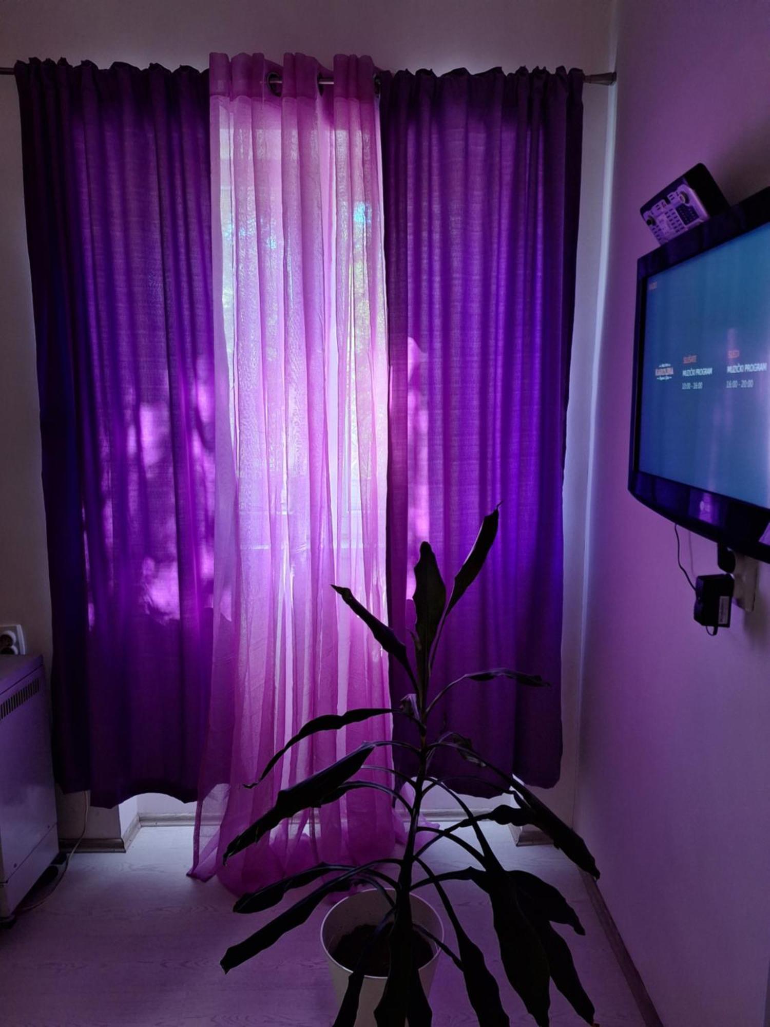 Apartman Maja Lejlighed Beograd Eksteriør billede