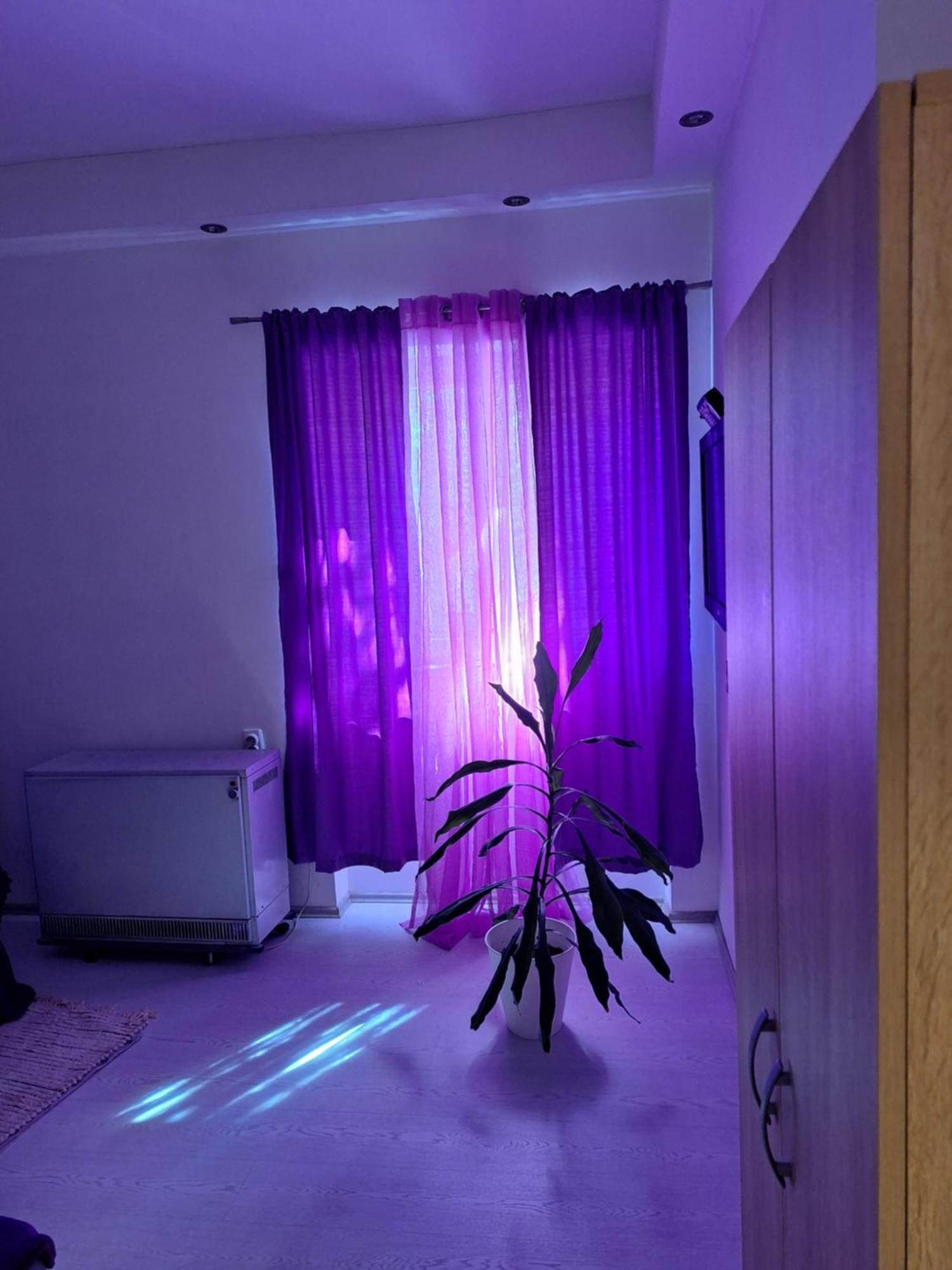 Apartman Maja Lejlighed Beograd Eksteriør billede